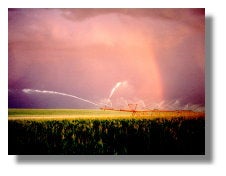 Image of Crop Irrigator