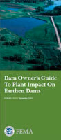 Manual for Plant Impacts on Earthen Dams