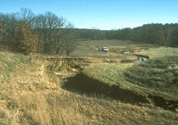 tire ruts from vehicles driving on dam