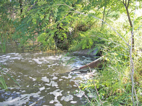 trees and other debris blocking outlet channel