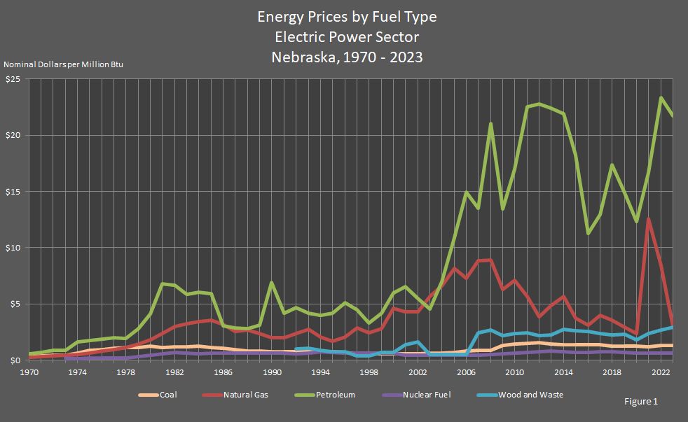 Figure 1 is a line graph showing energy prices by fuel type in Nebraska's electric power sector.